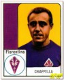 /album/fiorentina2/a0065-jpg2/