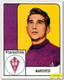 /album/fiorentina2/a0067-jpg2/