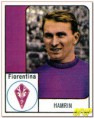 /album/fiorentina2/a0068-jpg2/