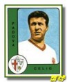 /album/padova3/a1961-1962-00166-jpg/
